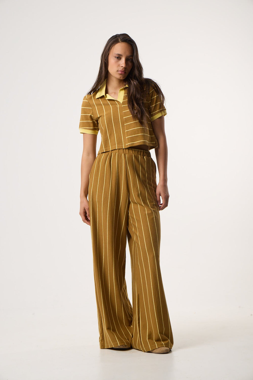 Top με Πόλο γιακά Daily Stripes | Καφέ