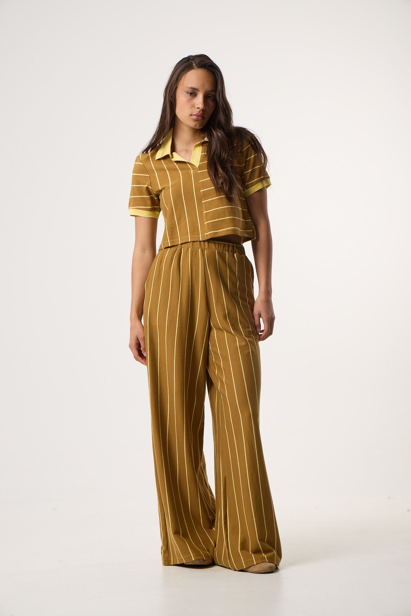 Top με Πόλο γιακά Daily Stripes | Καφέ