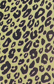 Kids set with green leopard print